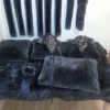 Buy Sea Otter Furs In Alaska