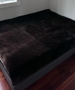 Sea otter blanket